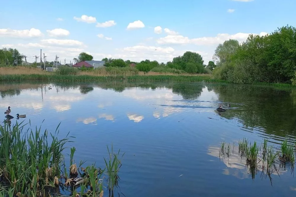 Источник жизни. Как сохранить малые реки и озера Нижегородской области