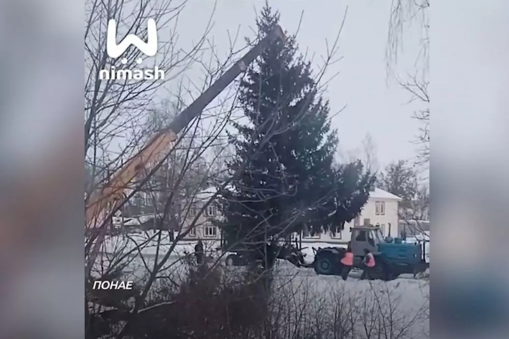 Рабочие спилили елку у нижегородки и установили возле Дома культуры