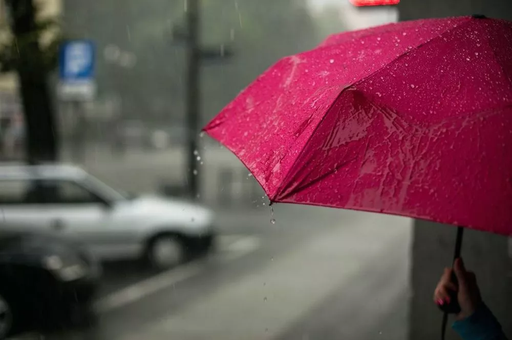 Фото Дожди и до +10°C обещают синоптики нижегородцам 7 ноября - Новости Живем в Нижнем