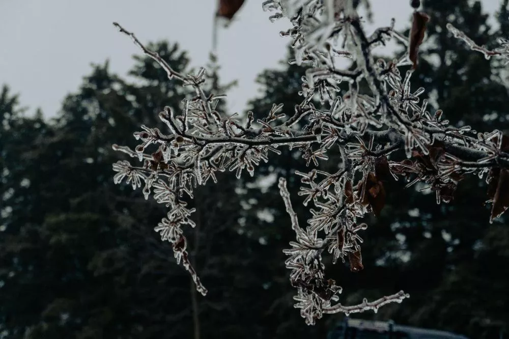 Фото Нижегородцев предупредили о ледяном дожде 26 и 27 ноября - Новости Живем в Нижнем