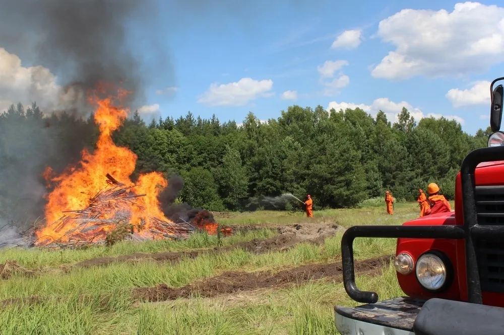 Пожароопасный сезон начнется в нижегородских лесах с 17 апреля