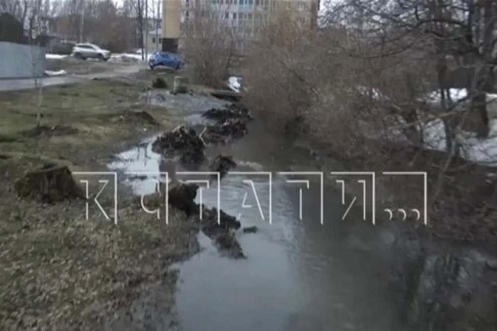 Жители Богородска страдают из-за растекшихся по городу канализационных вод