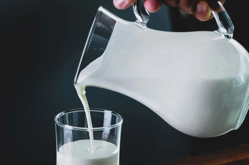 Нижегородская лаборатория обнаружила молоко с антибиотиками 