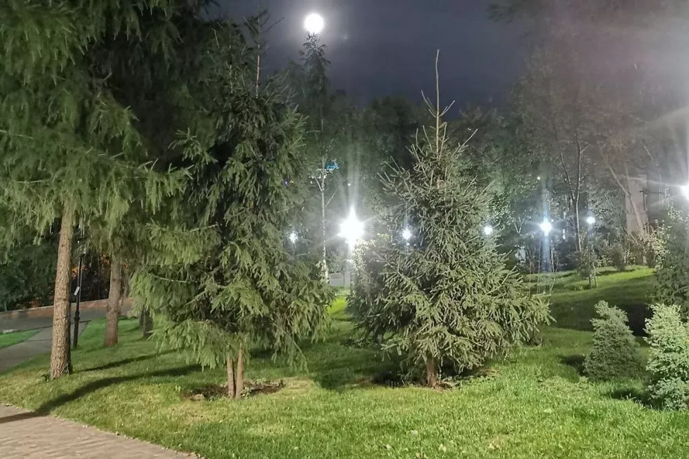 Фото Террасный парк планируют построить в Почаинском овраге в Нижнем Новгороде - Новости Живем в Нижнем