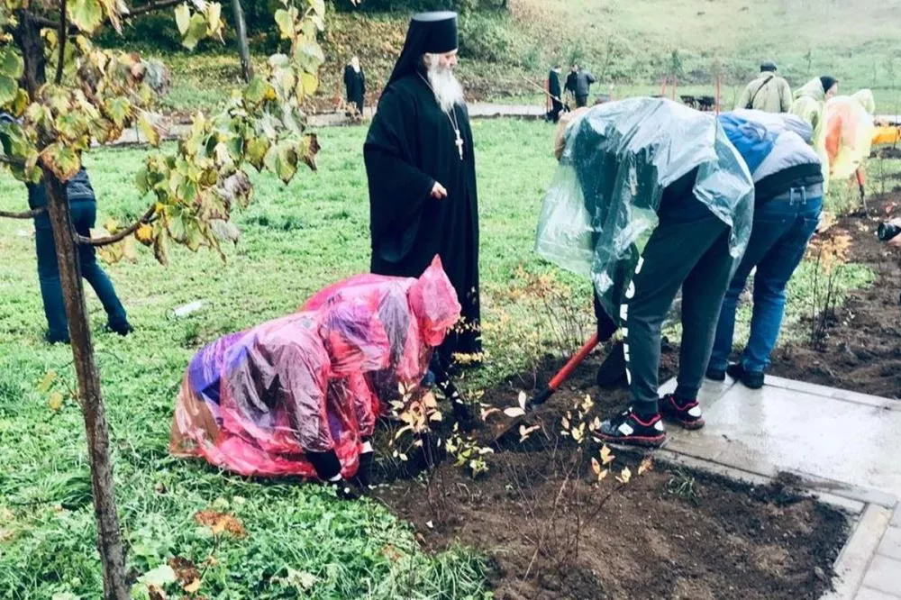 Молодые деревья высадили в «Царской аллее» в Нижнем Новгороде 