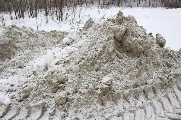 Жители ЖК «Цветы» жалуются на сброс грязного снега в Анкудиновский лесопарк