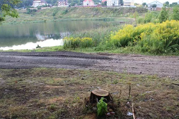 Губернатор прокомментировал вырубку деревьев на Щелоковском хуторе