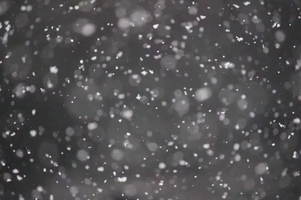 Фото Коммунальщики вывезли 55 тысяч самосвалов снега из Нижнего Новгорода этой зимой - Новости Живем в Нижнем