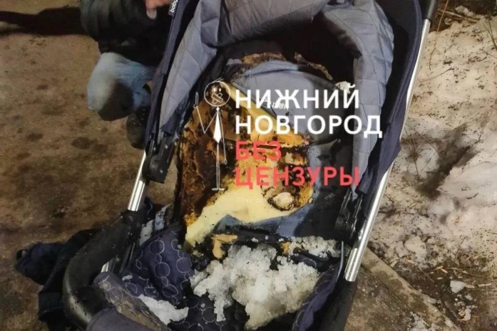 Фото Нижегородец поджег детскую коляску в подъезде и поцарапал несколько авто - Новости Живем в Нижнем