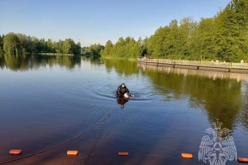 Мужчина утонул в озере Верхнем в Семенове 2 июня