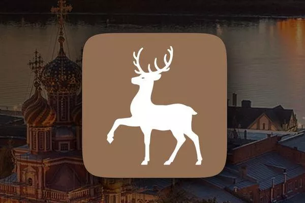 Карта жителя Нижегородской области: зачем нужна и как получить