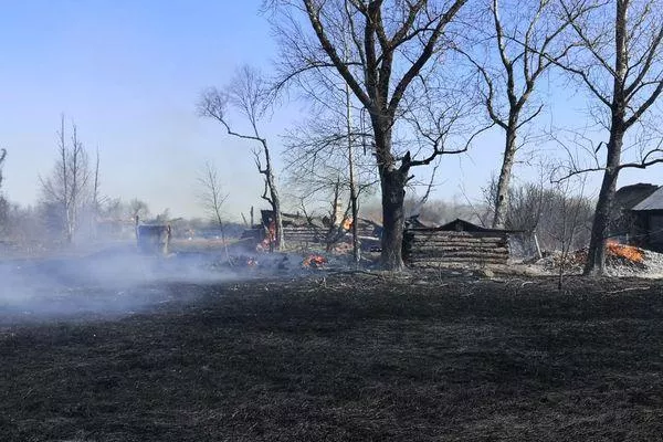 Семь домов загорелись в Большеболдинском районе 18 апреля (видео)
