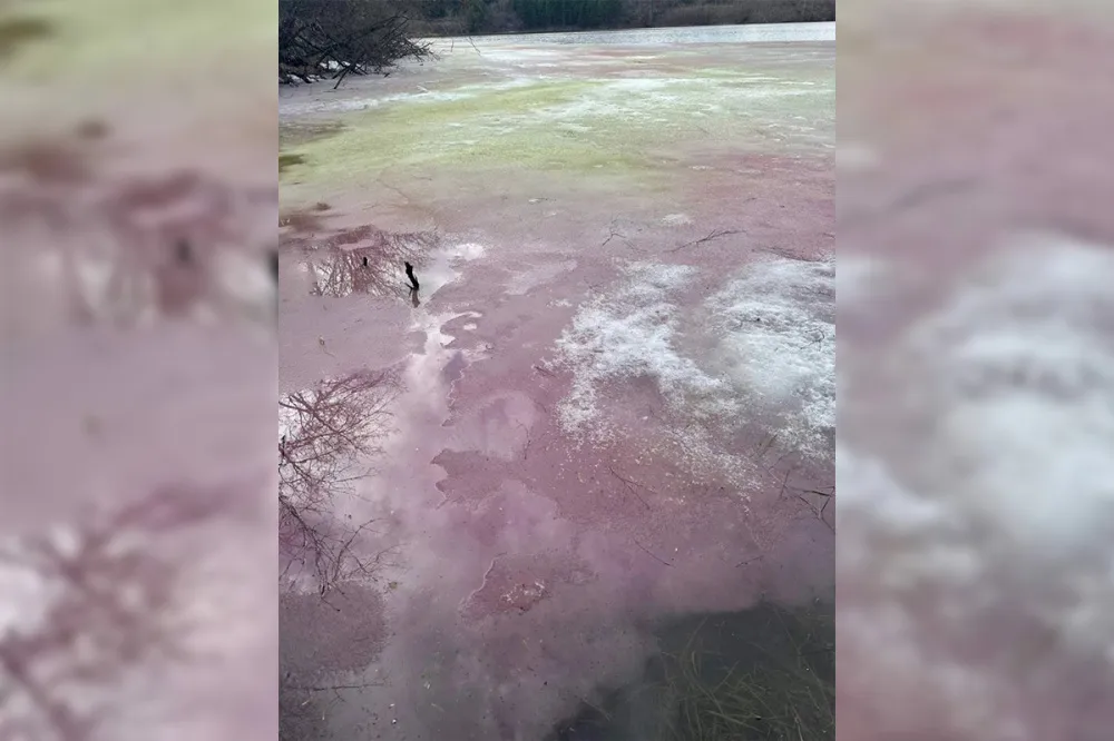 Рыбаки обнаружили цветной лед на озере в Дзержинске