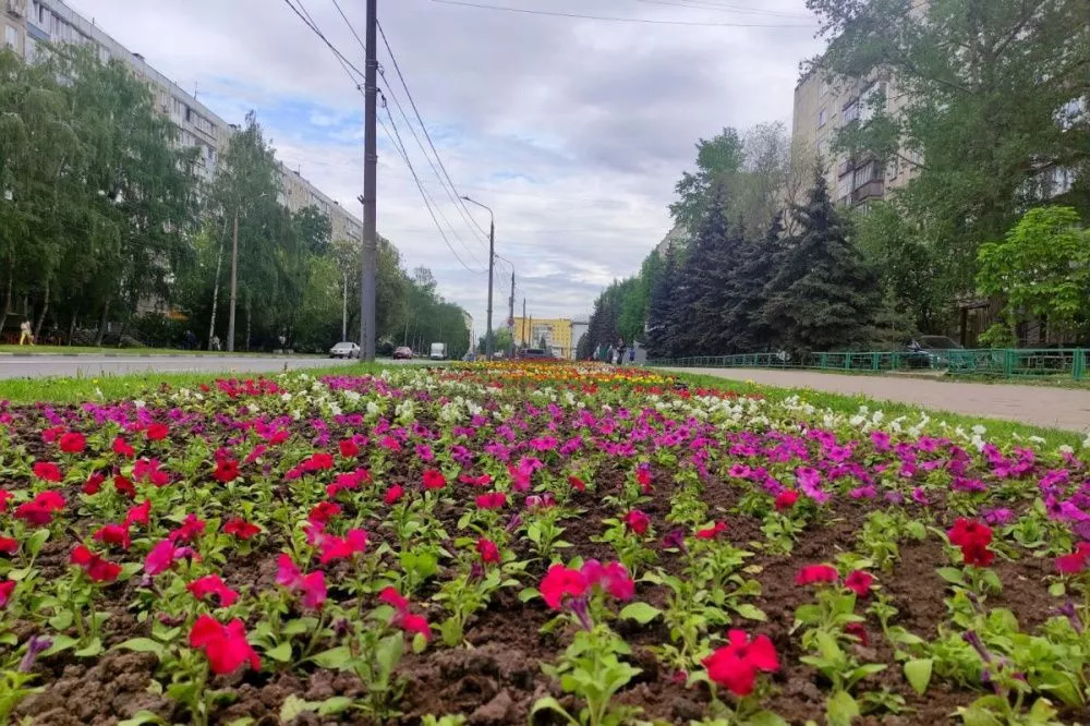Более 1000 «квадратов» цветников разобьют на улице Культуры в Сормове