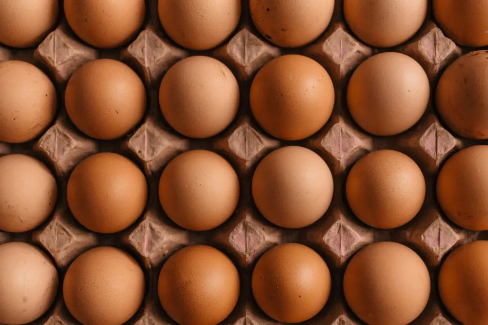 Фото Цены на куриные яйца выросли в Нижегородской области на 58,1% за год - Новости Живем в Нижнем