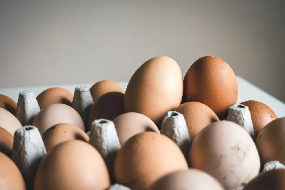 Фото Некачественные яйца, масло и творог обнаружили в больницах Нижегородской области - Новости Живем в Нижнем