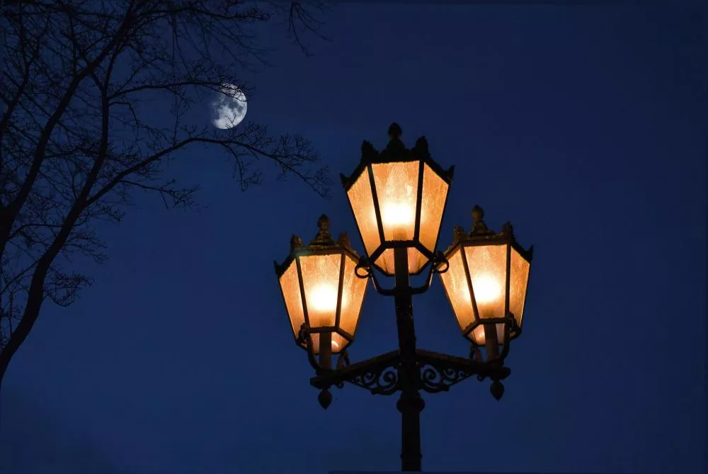 Подрядчик заменит неработающие фонари в нижегородском парке Пушкина до конца октября