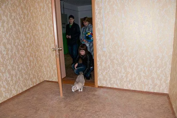 610 квартир для детей-сирот планируют закупить в Нижегородской области