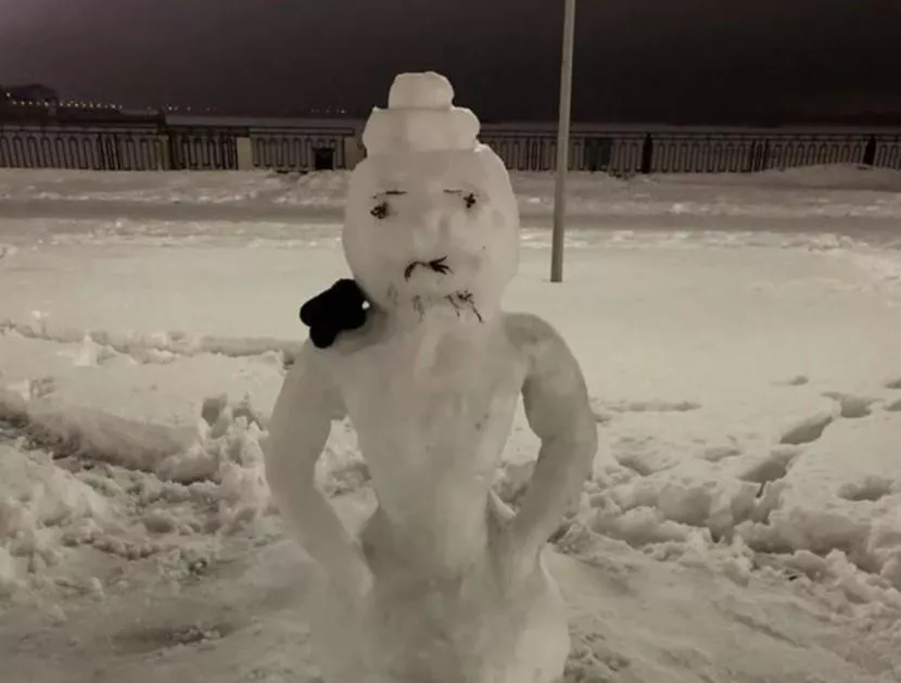 Фото Нижегородец выставил на Авито объявление о продаже снеговика - Новости Живем в Нижнем