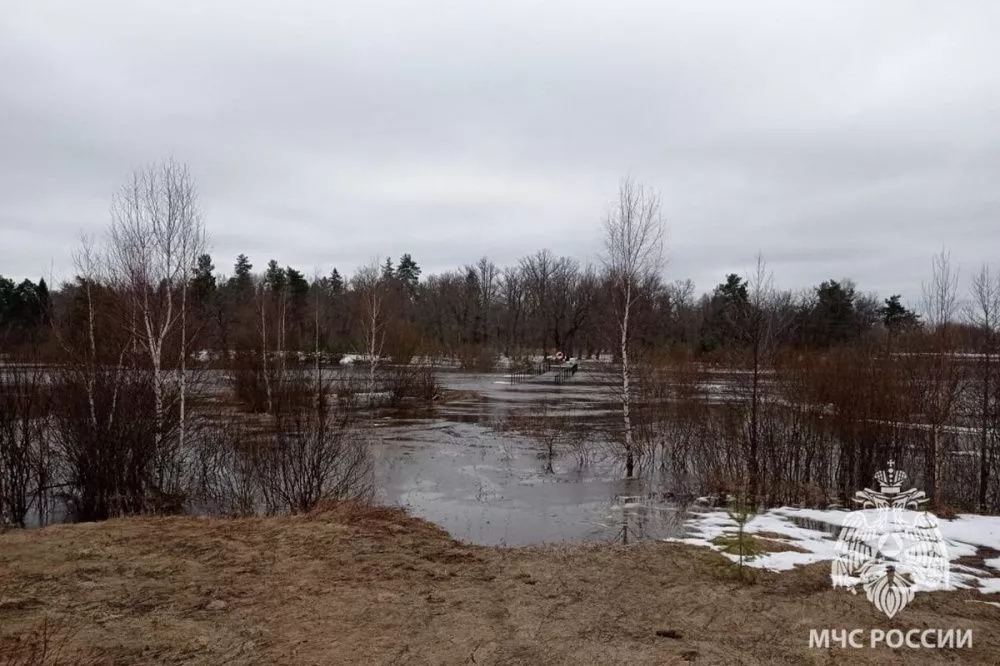160 садов и 13 мостов затопило в Нижегородской области