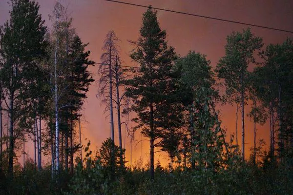 1100 человек тушат природный пожар в Нижегородской области