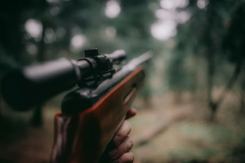 Запрет на охоту в Нижегородской области перестает действовать со 2 сентября