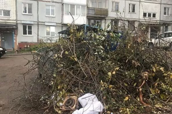 Жители Нижнего Новгорода жалуются на мусоровывозящие компании