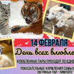 Фото Нижегородские пары смогут пройти в зоопарк «Лимпопо» по одному билету 14 февраля - Новости Живем в Нижнем