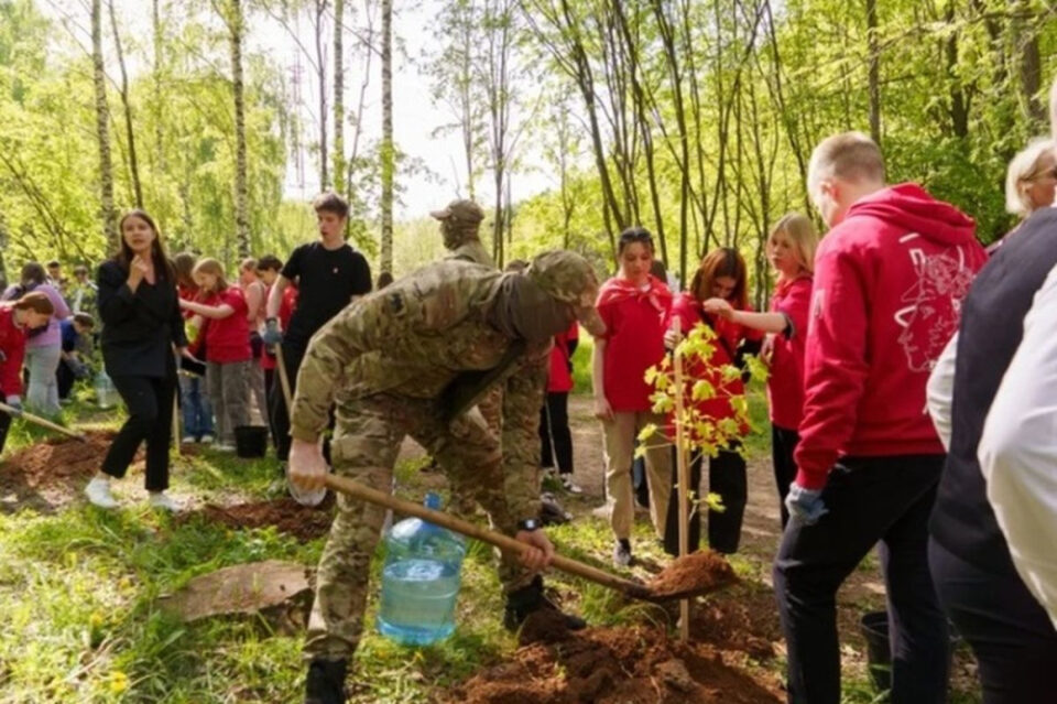 Фото Аллея мужества в честь бойцов СВО появилась в парке Нижнего Новгорода - Новости Живем в Нижнем