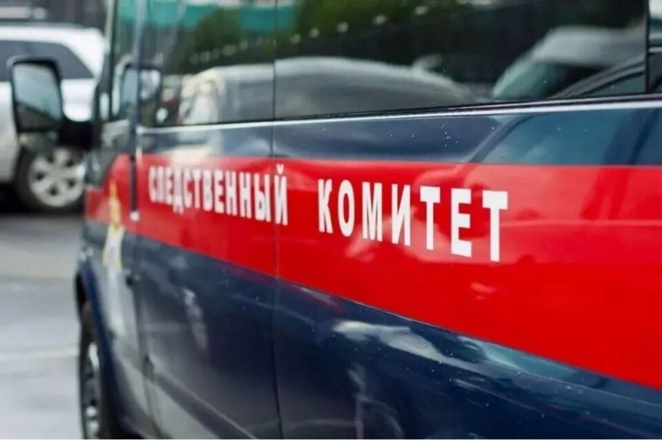 Фото Бастрыкин взял под контроль дело о домогательстве нижегородца к внучке - Новости Живем в Нижнем