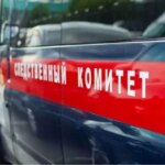 Фото Бастрыкин поручил возбудить дело из-за домов с плесенью для нижегородских сирот - Новости Живем в Нижнем