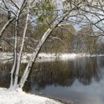 Фото Территорию вокруг озера Вторчермета в Нижнем Новгороде благоустроят за 34,1 млн рублей - Новости Живем в Нижнем