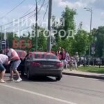 Фото Двое нижегородцев устроили драку на дороге около зоопарка «Лимпопо» - Новости Живем в Нижнем