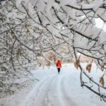 Фото Синоптики изменили прогноз: когда нижегородцам ждать первый снег? - Новости Живем в Нижнем