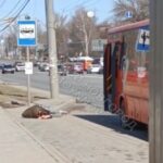 Фото Водитель нижегородского автобуса вынес на улицу пассажира без сознания и уехал - Новости Живем в Нижнем