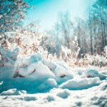 Фото Похолодание до -8°C обещают синоптики нижегородцам на 18 и 19 марта - Новости Живем в Нижнем